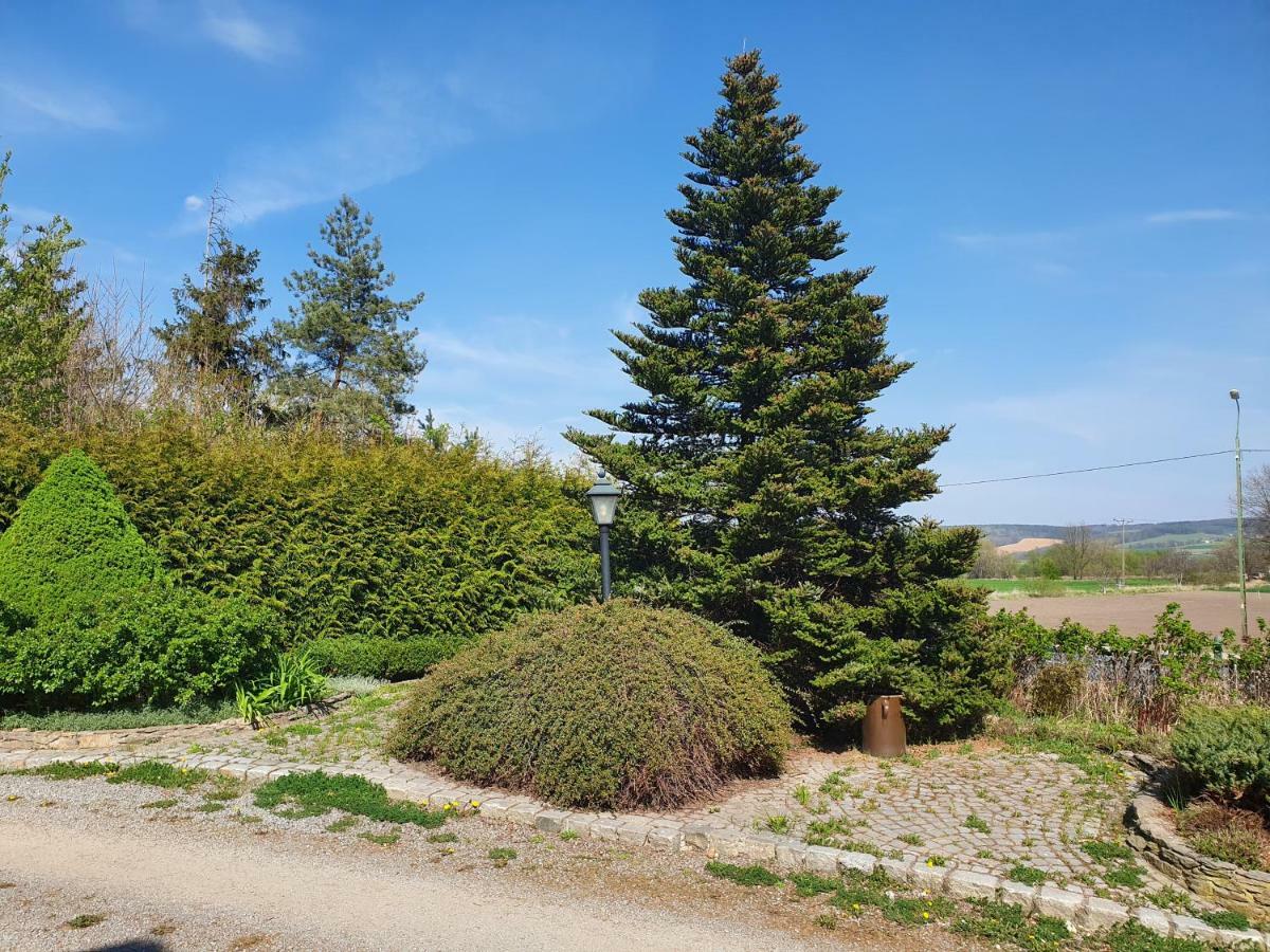 Villa Kliche Przerzeczyn-Zdroj Luaran gambar