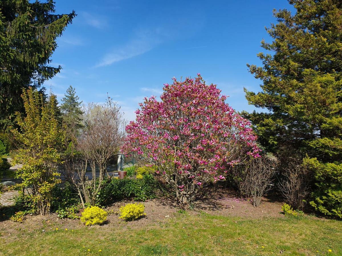 Villa Kliche Przerzeczyn-Zdroj Luaran gambar
